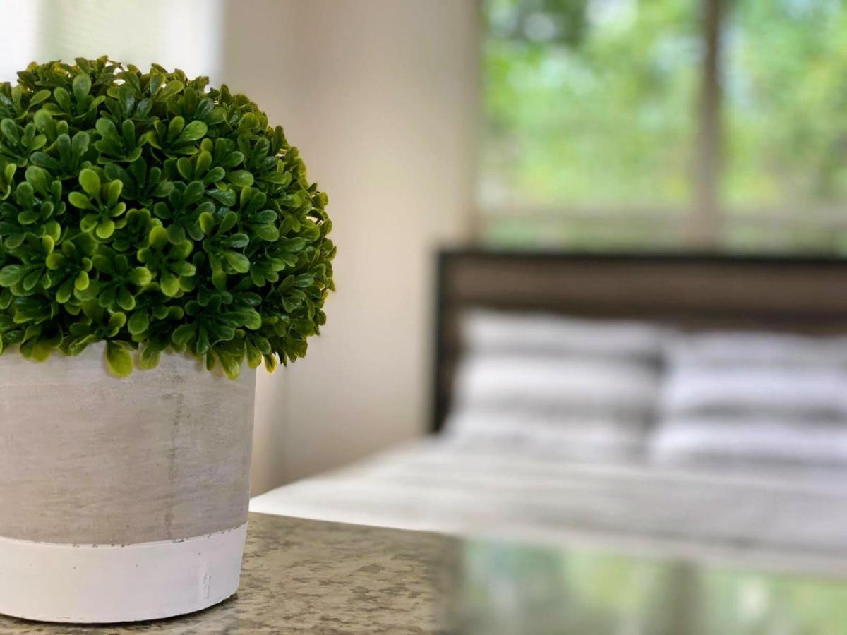 Ou-Walk To Campus , Downtown ; Designer Studio 奧克拉荷馬 外观 照片